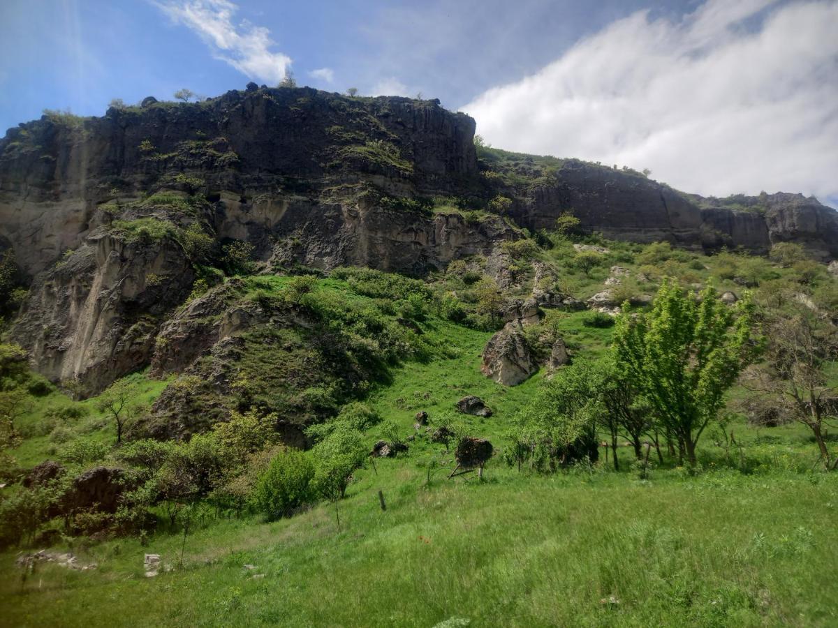 Сhachkari Bed and Breakfast Vardzia  Buitenkant foto