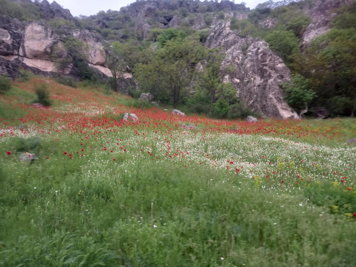 Сhachkari Bed and Breakfast Vardzia  Buitenkant foto